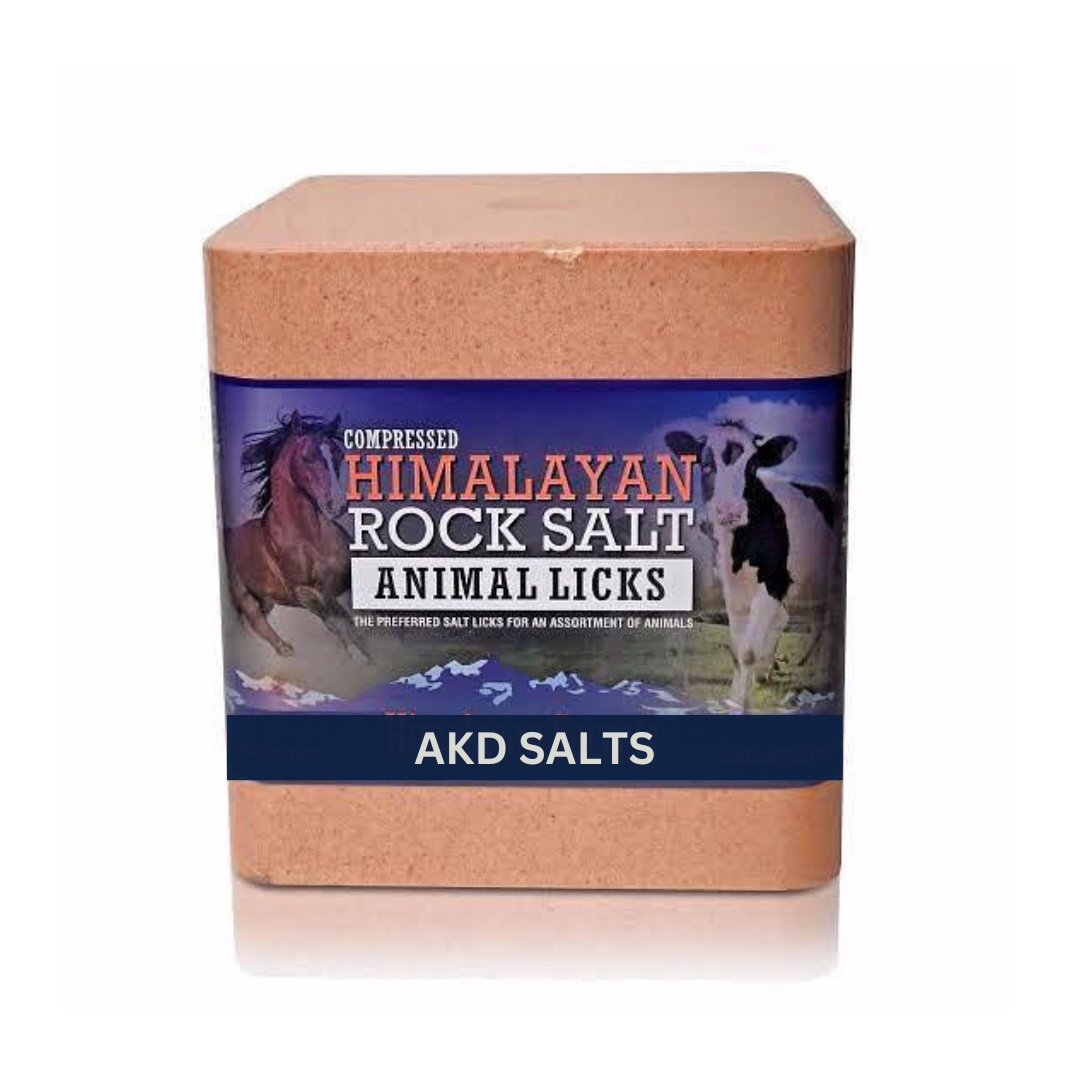 WhatsApp Image 2024-06-06 at 2.15.48 PM